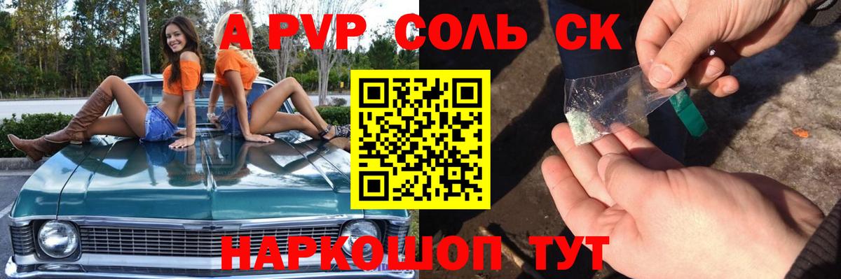 Alfa_PVP СК Дмитров