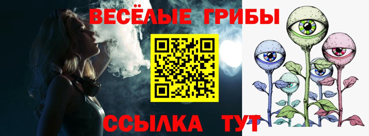 Дмитров  Галлюциногенные грибы MAGIC MUSHROOMS  магазин продажи   Вход с VPN 